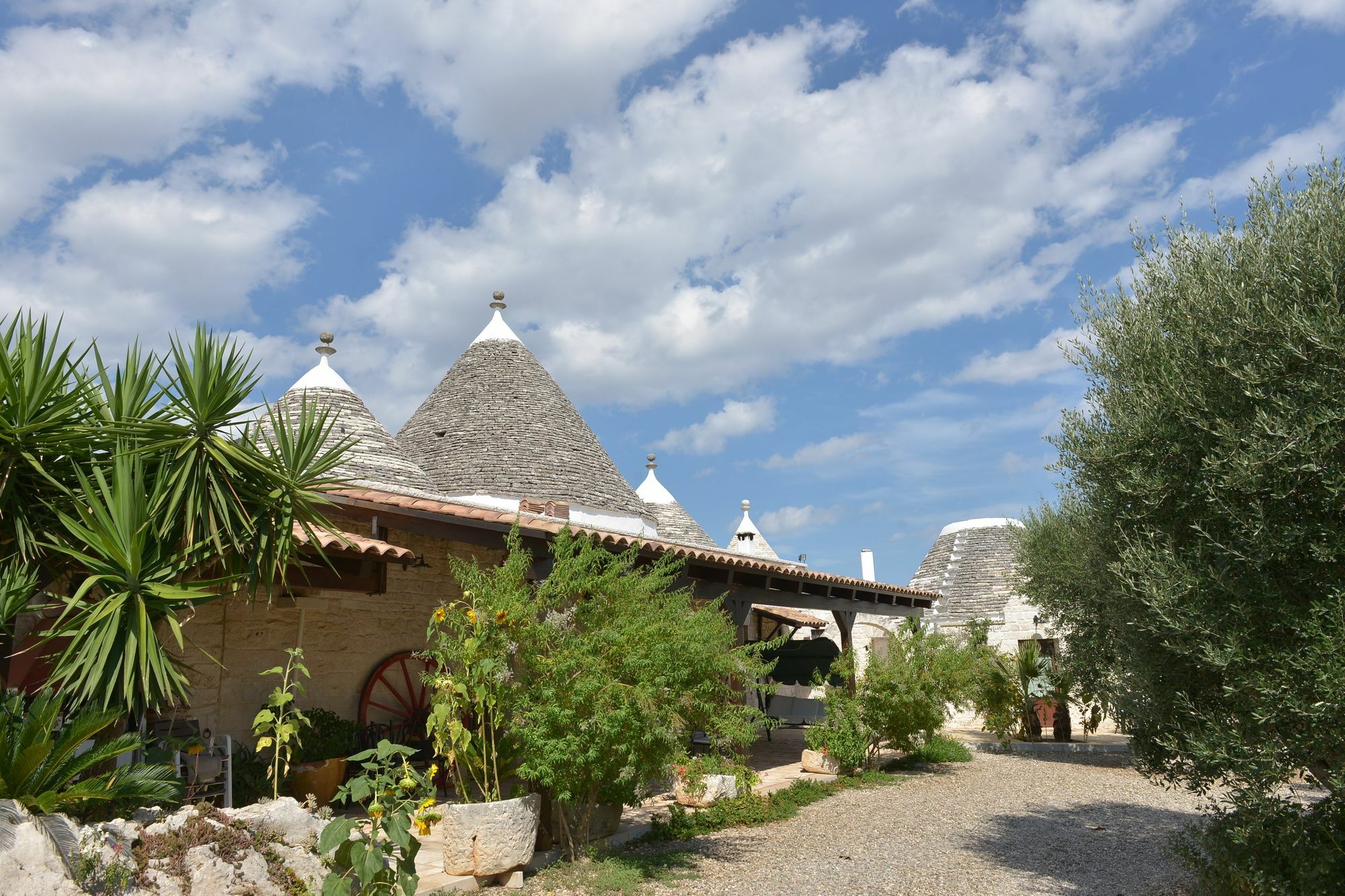 Masseria Pentima Vetrana Resort Alberobello Exteriér fotografie