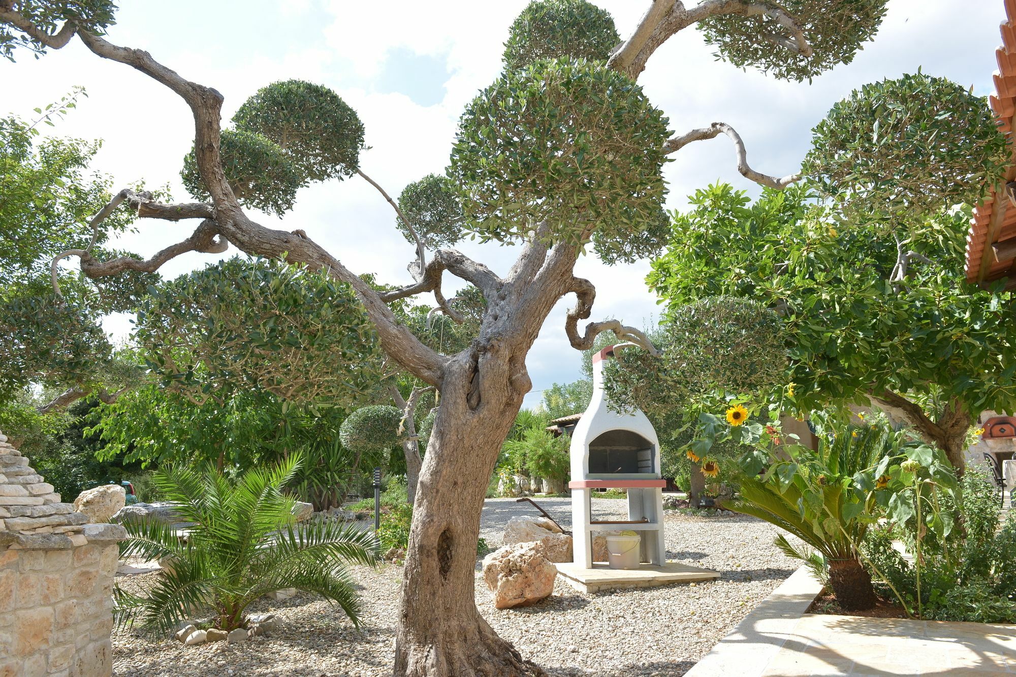 Masseria Pentima Vetrana Resort Alberobello Exteriér fotografie